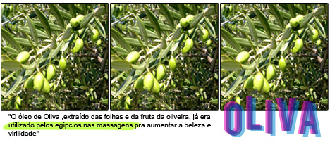 oliva
