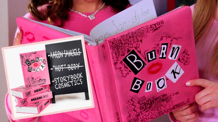 Burn Book Palette Comprar : Burn Book Lined Journal Its Full Of Secrets ...