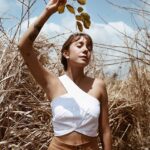 Alline Dauroiz