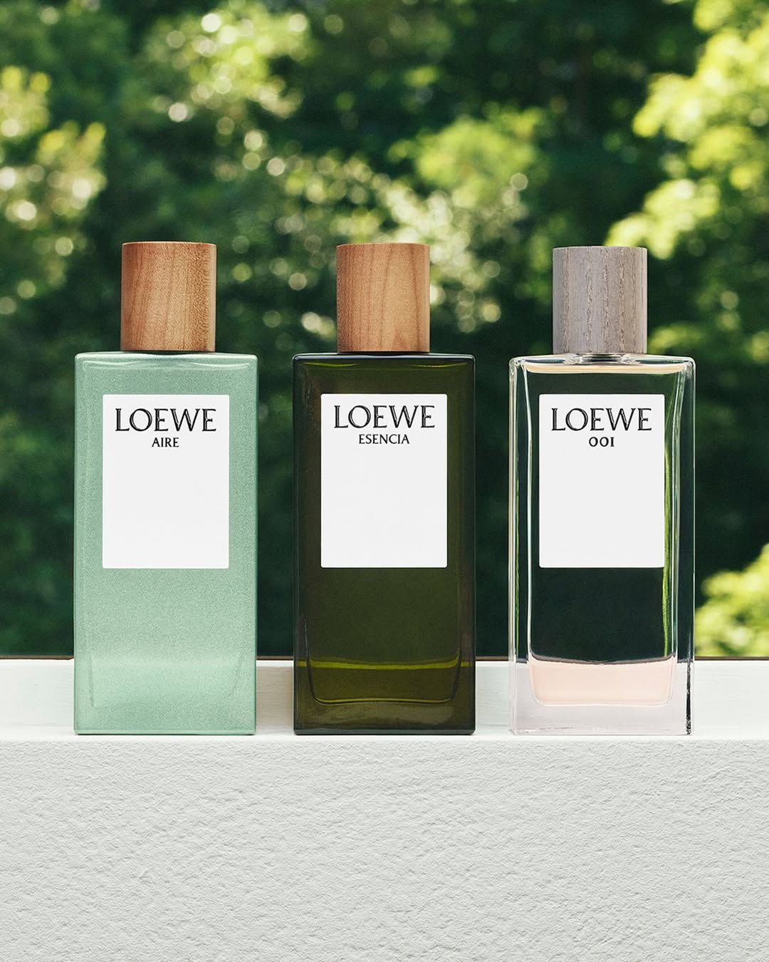 Descobrimos todos os segredos sobre as fragrâncias da Loewe